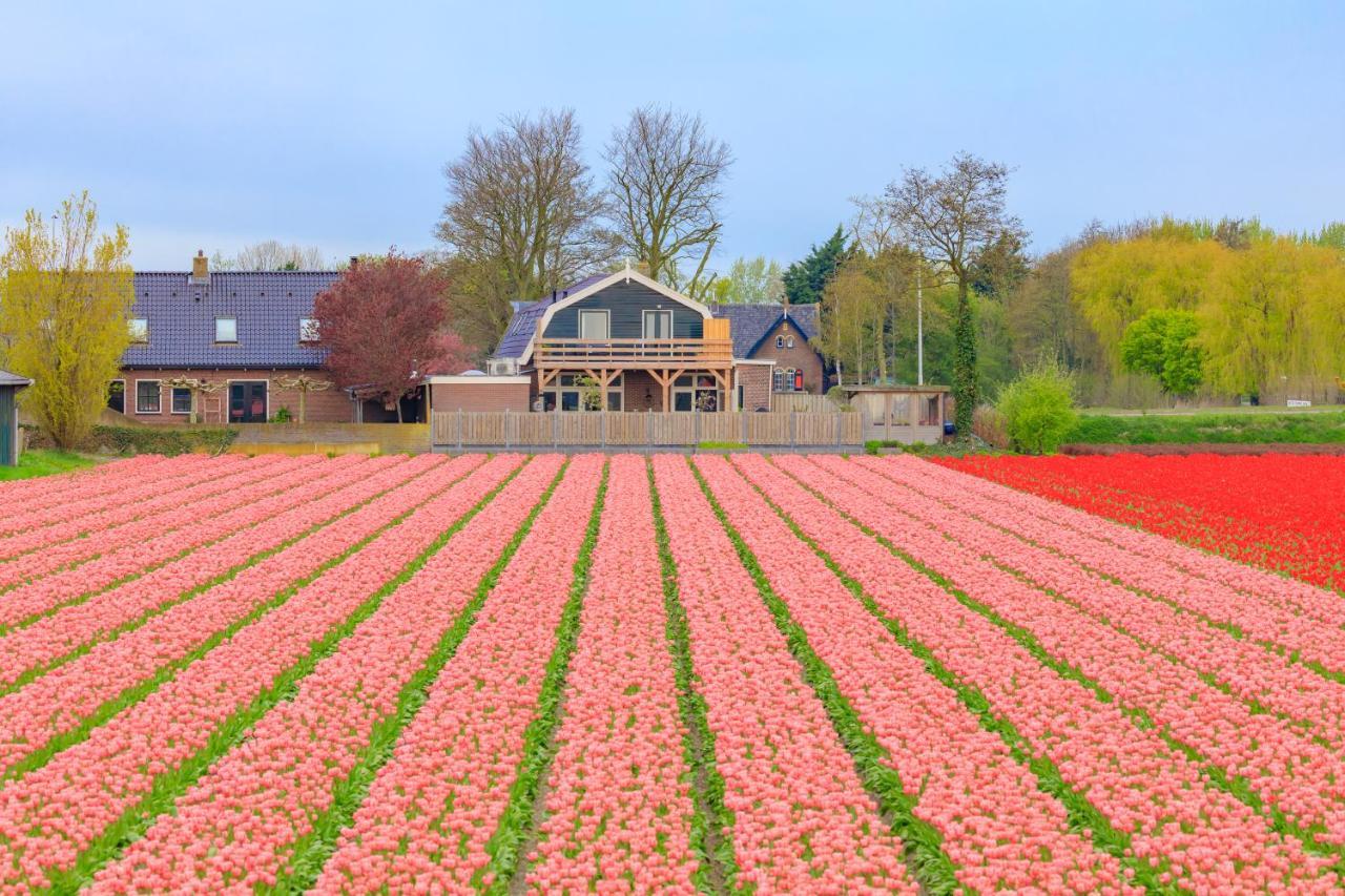 B&B Blossom Lisse Exterior foto